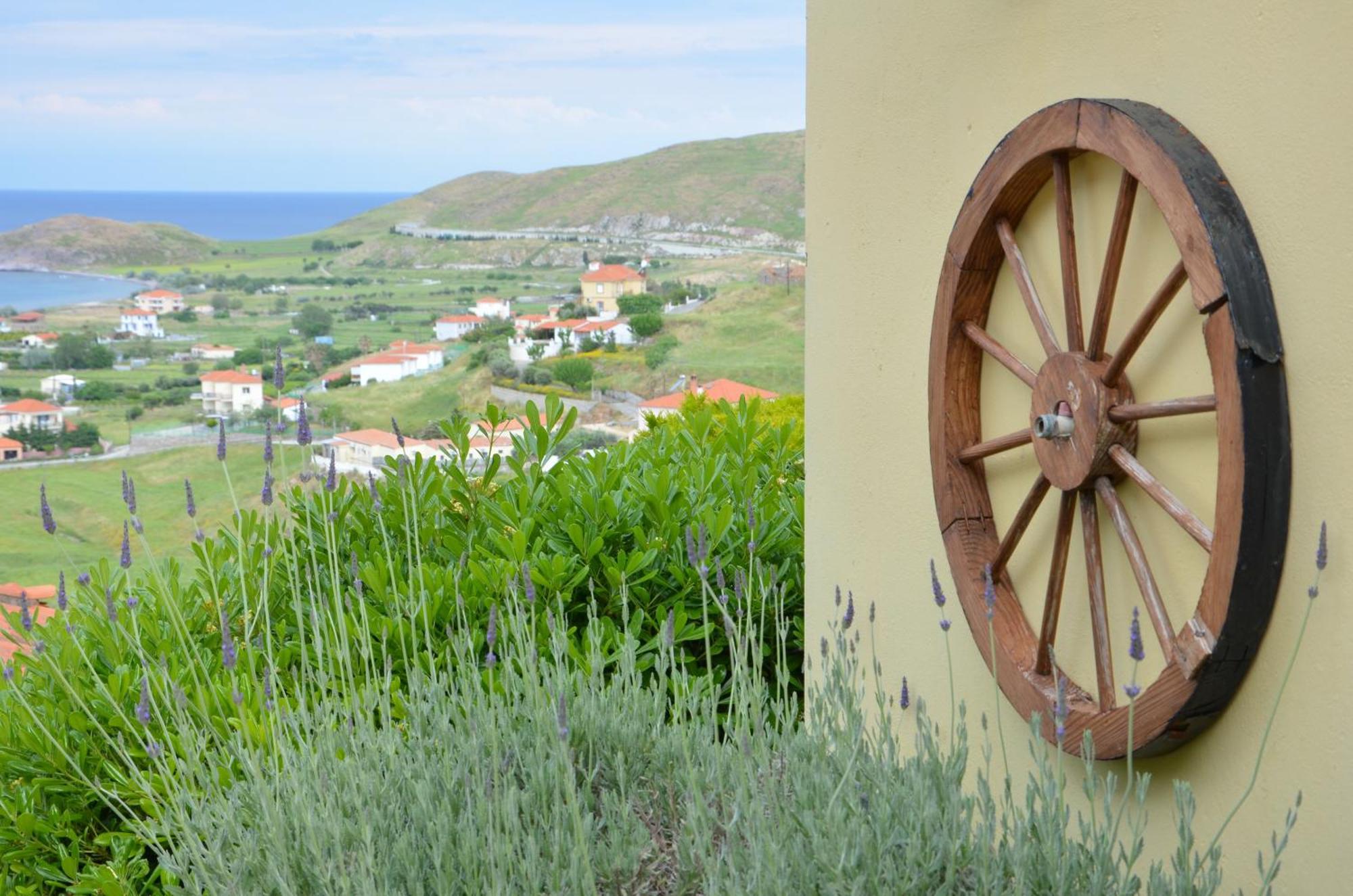 Hotel Dina - Ξενοδοχείο Ντινα Plati  Exteriér fotografie