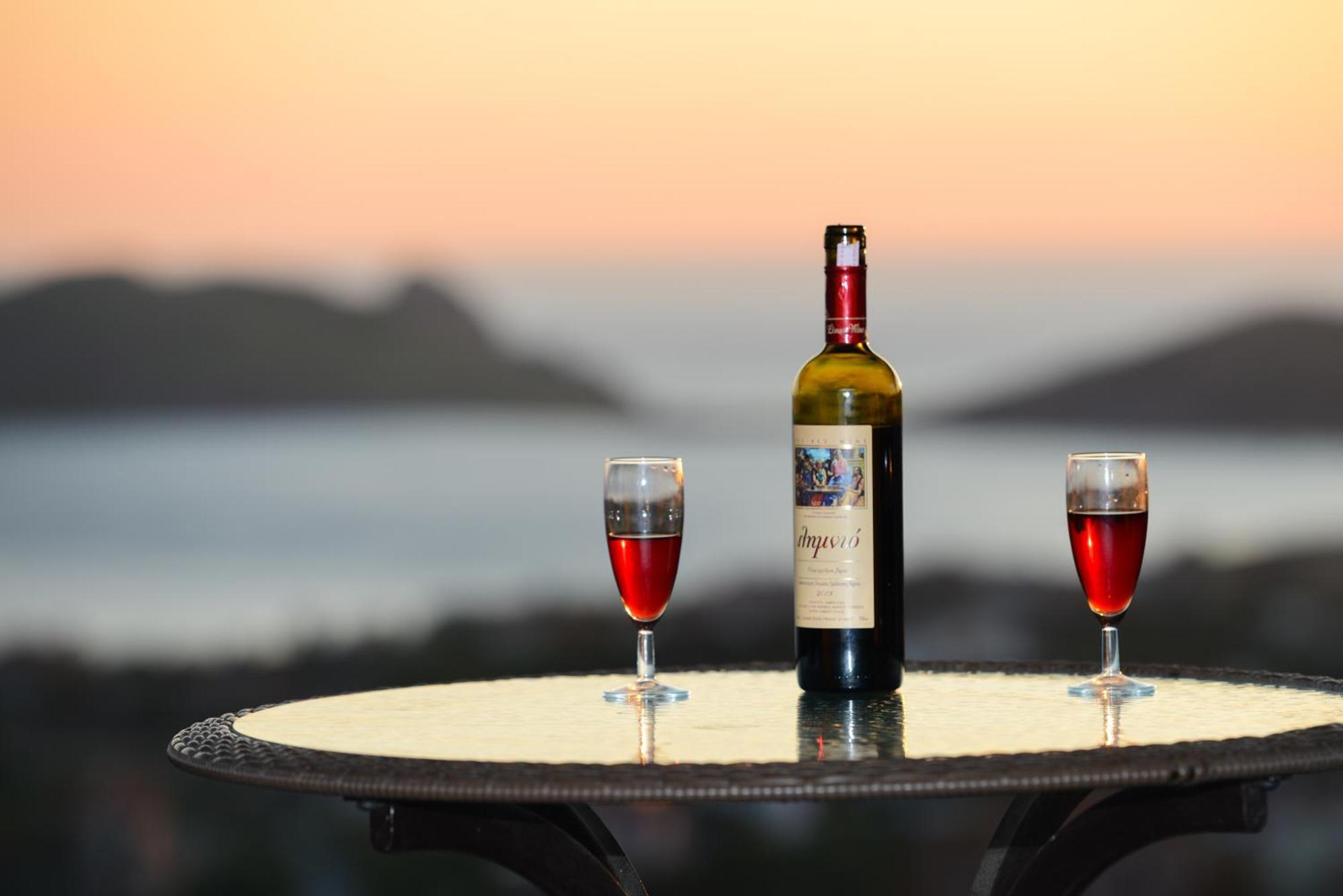 Hotel Dina - Ξενοδοχείο Ντινα Plati  Exteriér fotografie