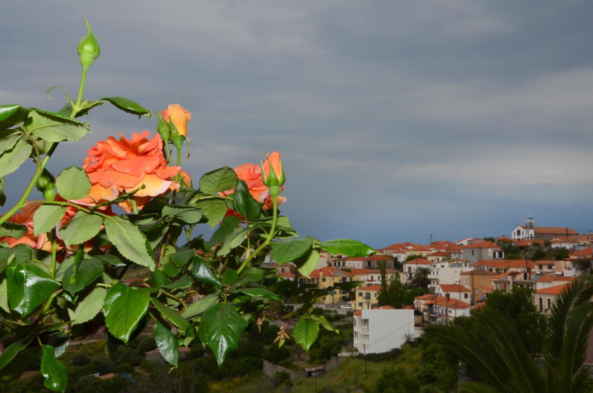 Hotel Dina - Ξενοδοχείο Ντινα Plati  Exteriér fotografie