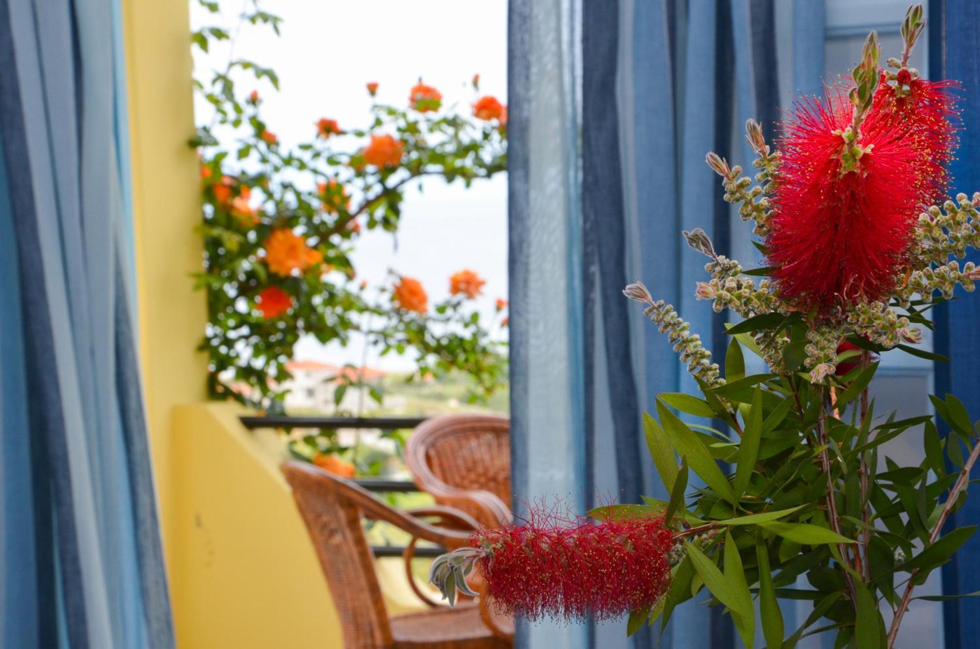 Hotel Dina - Ξενοδοχείο Ντινα Plati  Exteriér fotografie